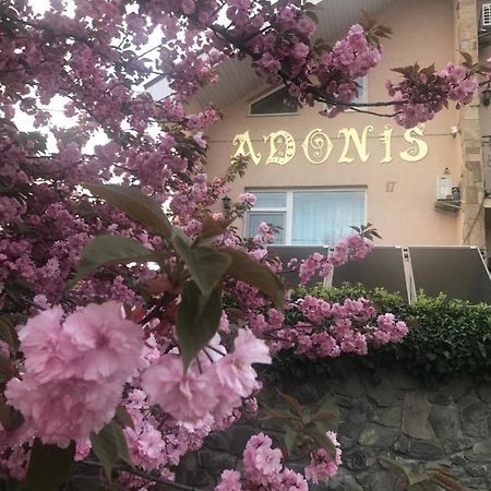 Hotel Adonis Užhorod Exteriér fotografie